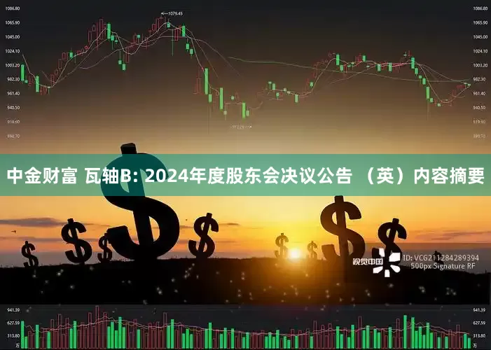中金财富 瓦轴B: 2024年度股东会决议公告 （英）内容摘要