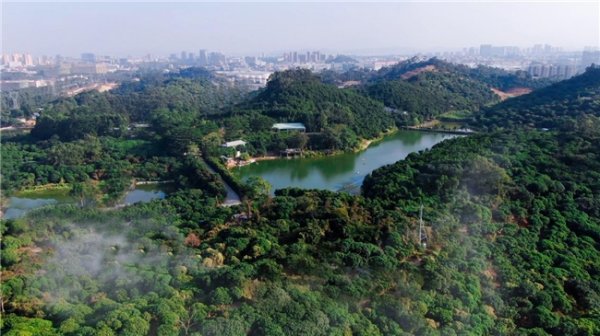 驰盈配资 香凝千载，剧铸精魂：从粤剧《最是女儿香》看岭南文化的当代表达