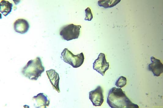 配多多 突破进口垄断，实现半导体关键粉体材料百吨级量产，「矽瓷新能」完成近千万元天使+轮融资